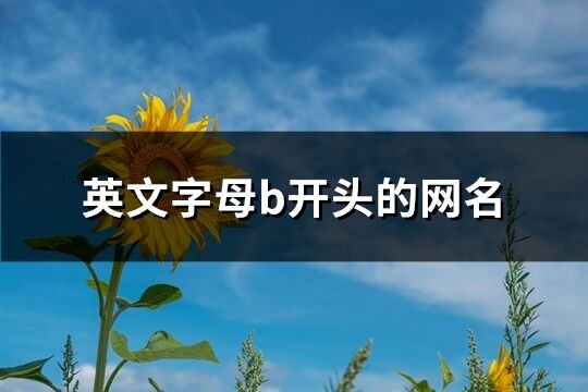 英文字母b開頭的網名(精選130個)