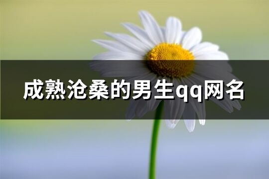 成熟滄桑的男生qq網名(共356個)