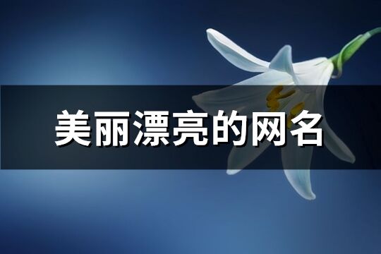 美麗漂亮的網名(優選384個)