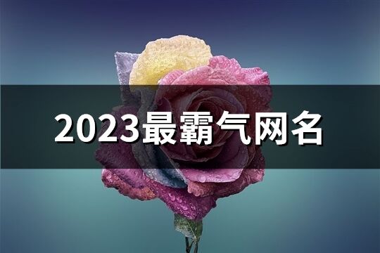 2023最霸氣網名(精選886個)