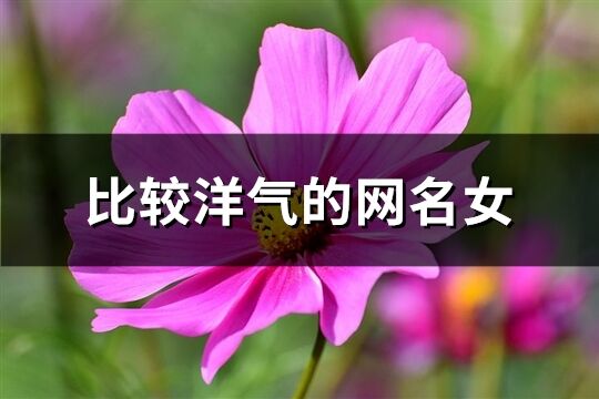 比較洋氣的網名女(優選400個)