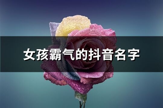 女孩霸氣的抖音名字(228個(gè))