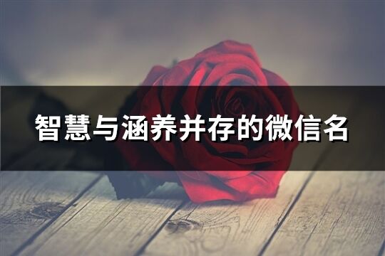 智慧與涵養(yǎng)并存的微信名(精選610個)