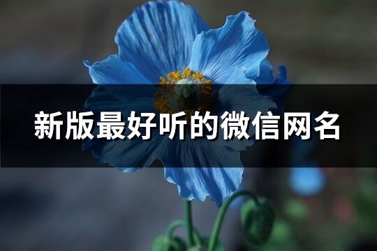 新版最好聽的微信網名(共838個)