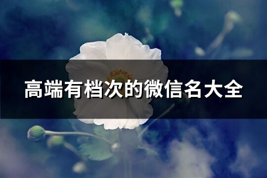 高端有檔次的微信名大全(共893個(gè))