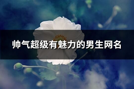 帥氣超級有魅力的男生網名(229個)