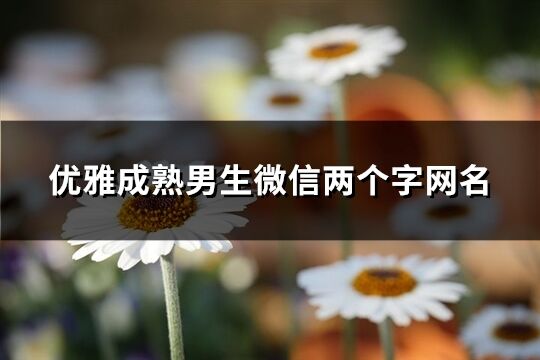 優雅成熟男生微信兩個字網名(優選843個)