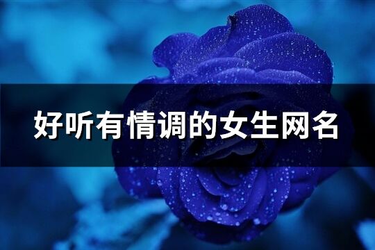 好聽有情調的女生網名(291個)