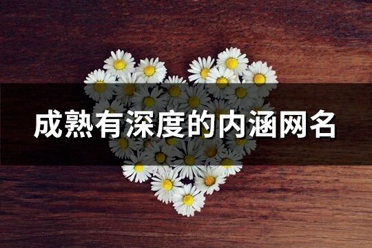 成熟有深度的內(nèi)涵網(wǎng)名(精選263個)