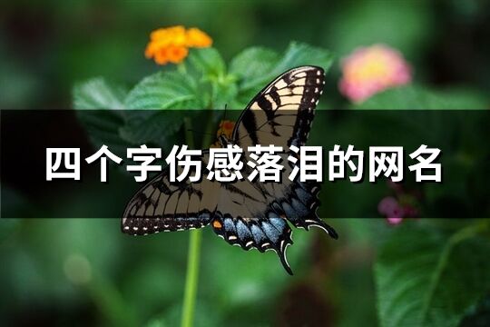 四個字傷感落淚的網名(精選966個)