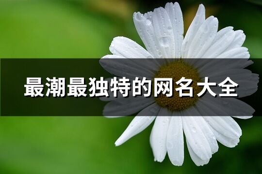 最潮最獨特的網名大全(699個)