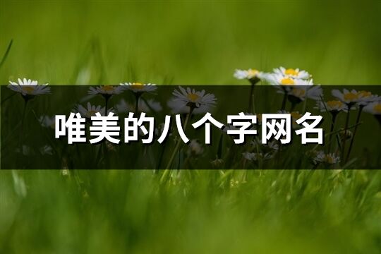 唯美的八個字網名(精選443個)