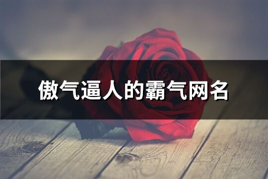 傲氣逼人的霸氣網名(優選83個)