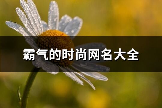 霸氣的時尚網名大全(優選169個)
