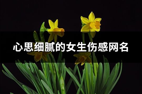 心思細(xì)膩的女生傷感網(wǎng)名(共388個(gè))