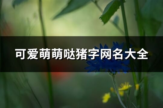 可愛萌萌噠豬字網名大全(81個)