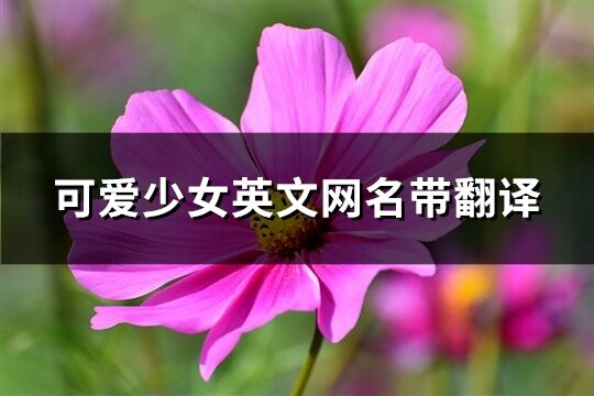 可愛少女英文網名帶翻譯(共93個)