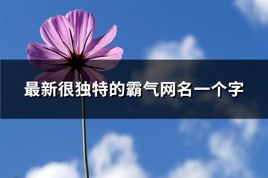 最新很獨(dú)特的霸氣網(wǎng)名一個(gè)字(優(yōu)選198個(gè))