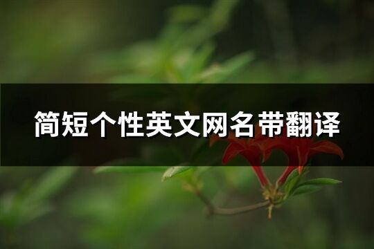 簡短個性英文網名帶翻譯(共139個)