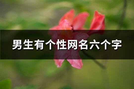 男生有個(gè)性網(wǎng)名六個(gè)字(精選518個(gè))