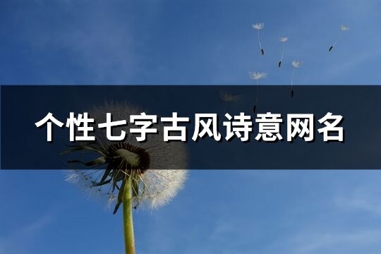 個性七字古風(fēng)詩意網(wǎng)名(共365個)