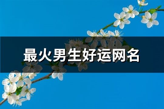最火男生好運網(wǎng)名(共538個)