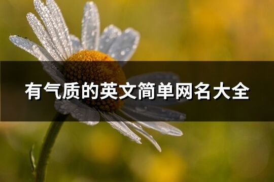 有氣質的英文簡單網名大全(131個)