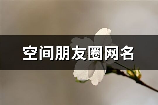 空間朋友圈網名(共323個)