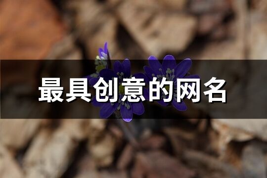 最具創意的網名(優選697個)
