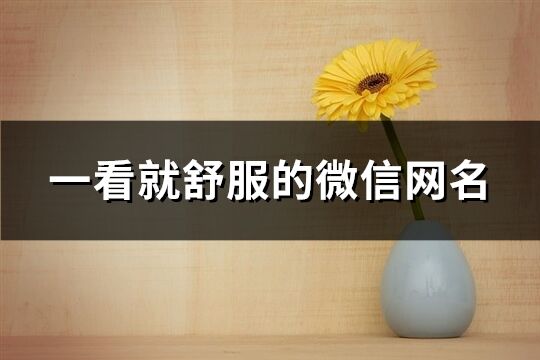 一看就舒服的微信網名(優選355個)
