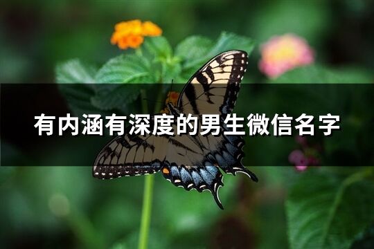 有內涵有深度的男生微信名字(925個)