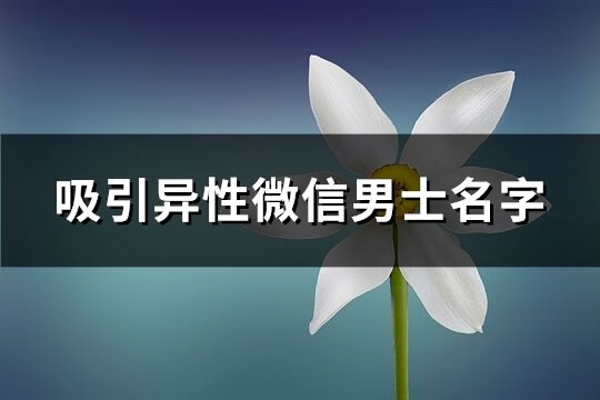 吸引異性微信男士名字(優選1879個)