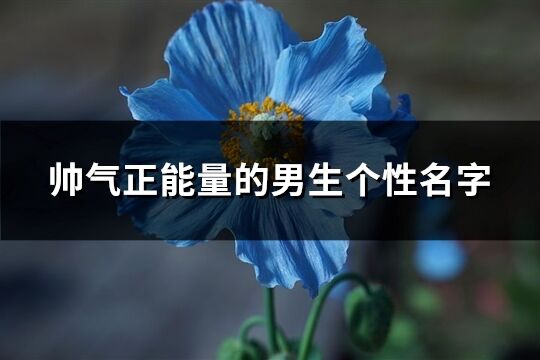 帥氣正能量的男生個性名字(363個)