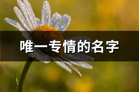 唯一專情的名字(共208個)