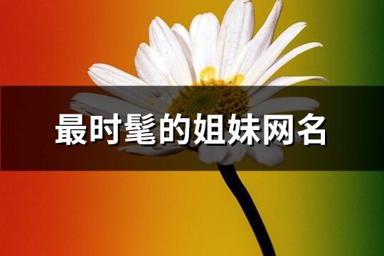 最時(shí)髦的姐妹網(wǎng)名(共105個(gè))