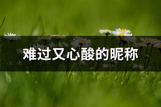 難過又心酸的昵稱(精選1024個)