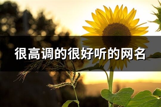 很高調的很好聽的網名(精選366個)