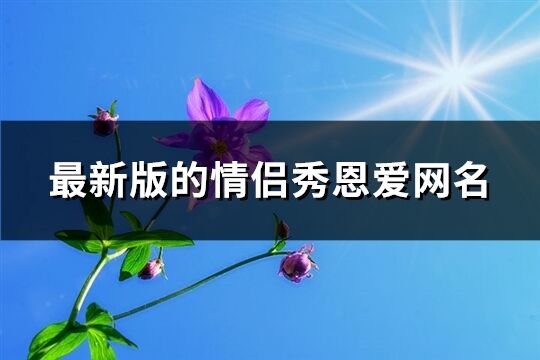 最新版的情侶秀恩愛網(wǎng)名(優(yōu)選815個)