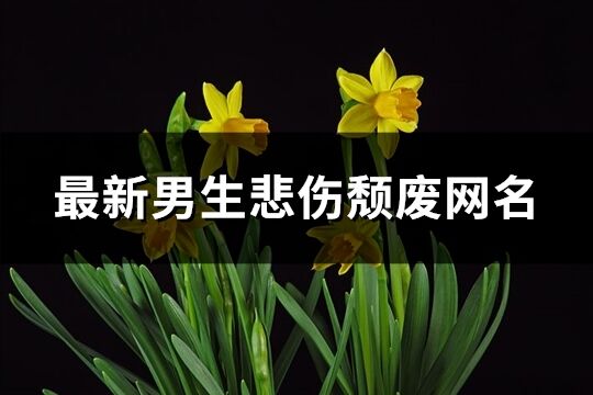 最新男生悲傷頹廢網(wǎng)名(精選821個(gè))