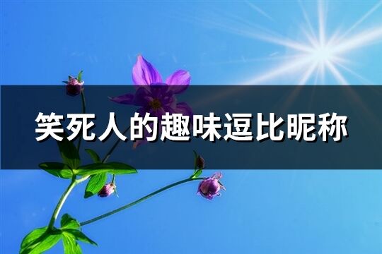 笑死人的趣味逗比昵稱(優選296個)