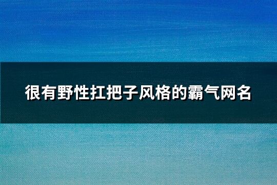很有野性扛把子風格的霸氣網名(優選294個)