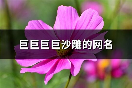 巨巨巨巨沙雕的網名(79個)