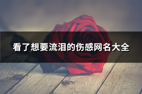 看了想要流淚的傷感網名大全(611個)