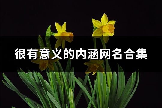 很有意義的內(nèi)涵網(wǎng)名合集(優(yōu)選435個)