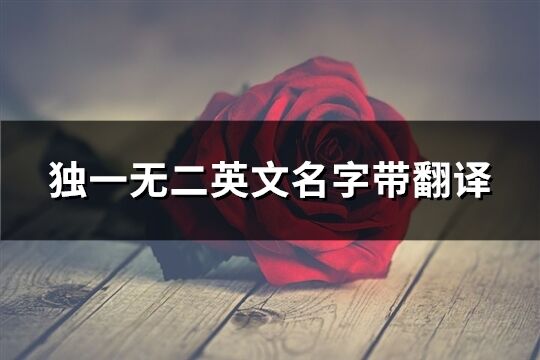 獨(dú)一無二英文名字帶翻譯(精選208個(gè))