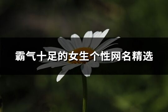 霸氣十足的女生個性網名精選(260個)