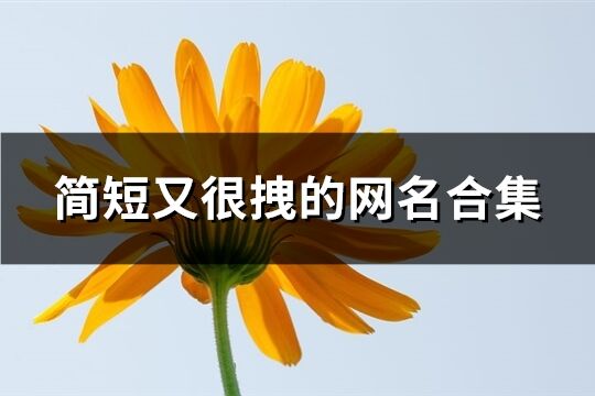簡短又很拽的網(wǎng)名合集(精選372個(gè))