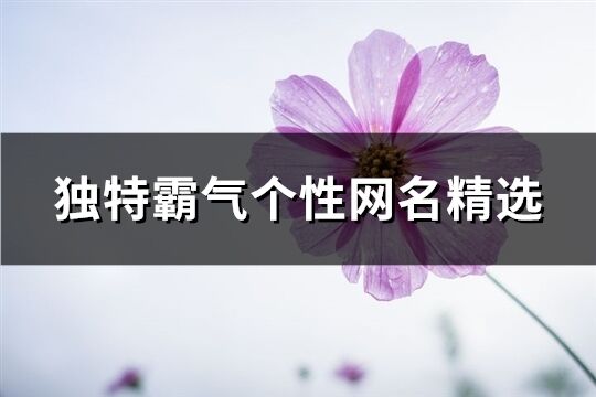 獨特霸氣個性網名精選(408個)