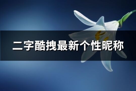 二字酷拽最新個性昵稱(共1028個)