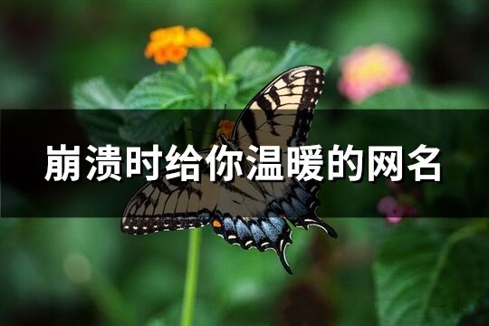 崩潰時(shí)給你溫暖的網(wǎng)名(優(yōu)選478個(gè))